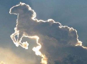 horse-cloud