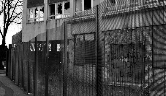 DSC_0123 modified copy