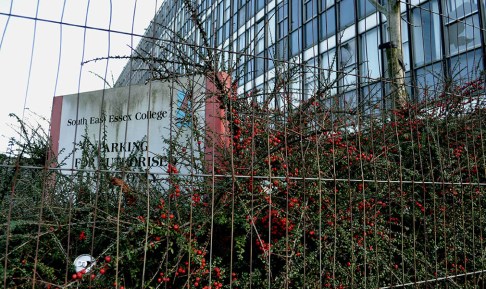 DSC_0157 modified copy