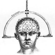 cropped-phrenology