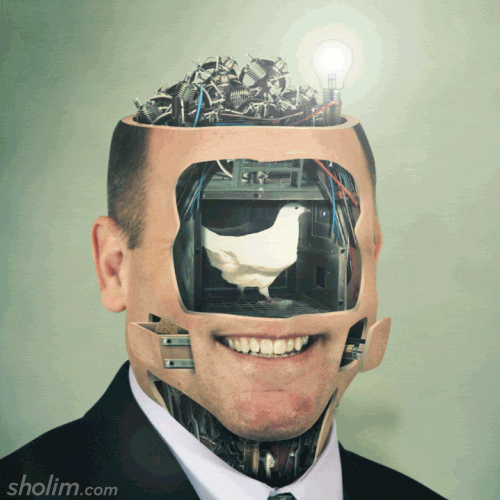 f0d1cf20402231.56d56e69d5f28